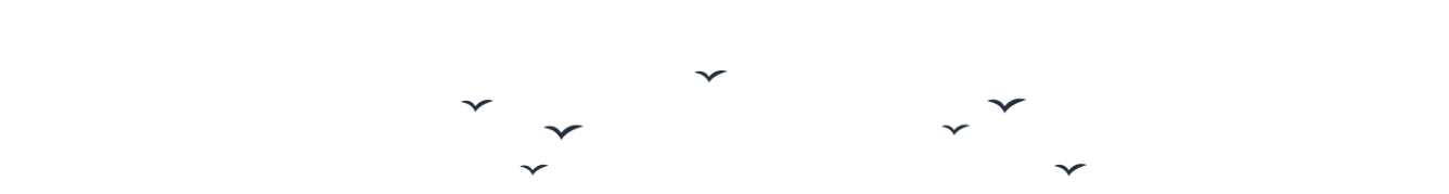 Birds Decoration